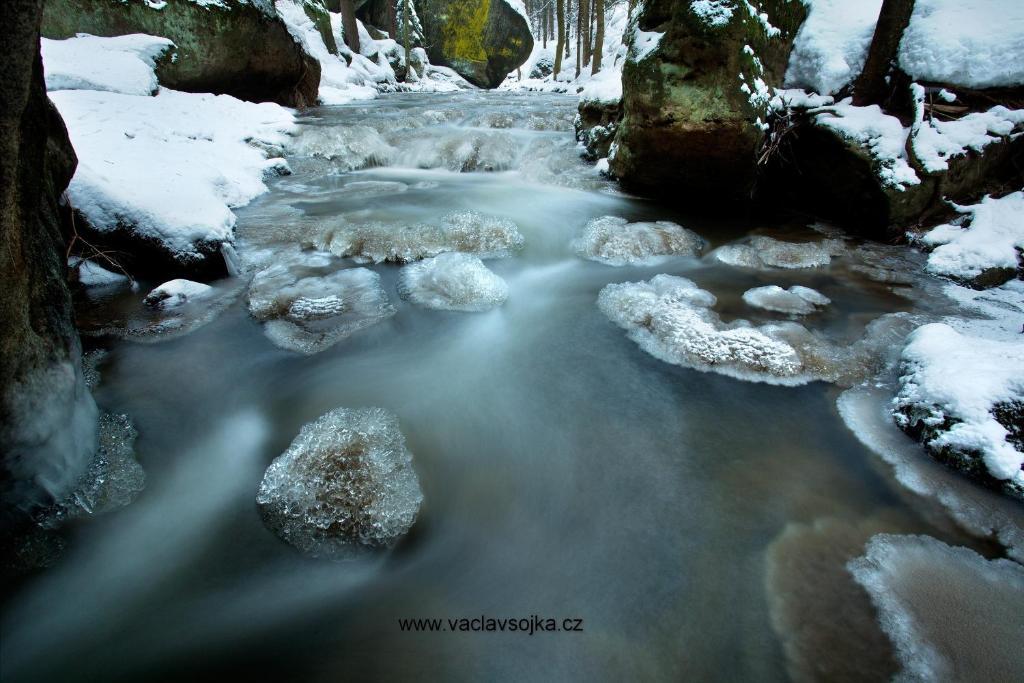 Penzion Kamzík Ceska Kamenice Exterior foto
